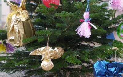 Installation de sapins de Noël dans le village